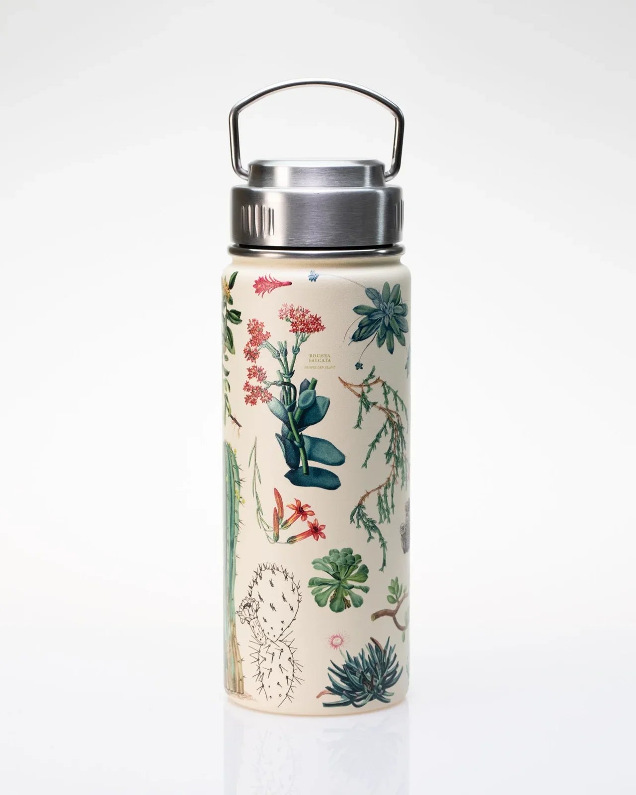 Water Bottle 18oz - Cactus & Succulents